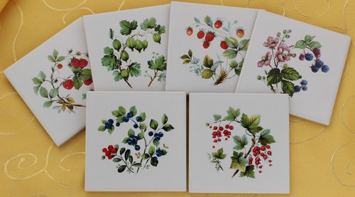 15x15 fliesen dekor - 15x15, beeren